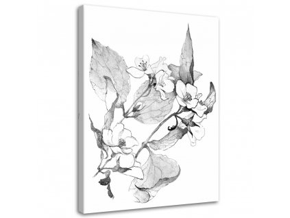 Obraz na plátne Kvitnúce vetvičky