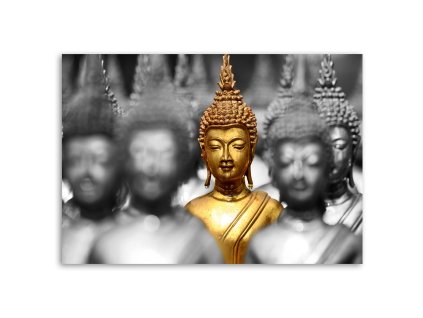 Obraz na plátne Zlatý Buddha v dave
