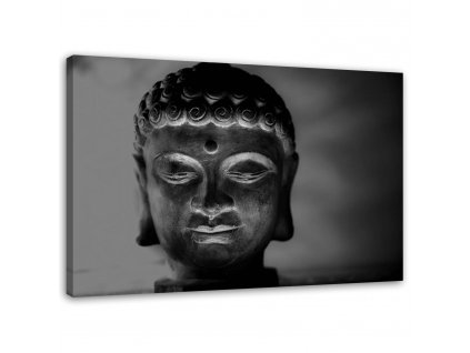 Obraz na plátne Osvetlená hlava Budhu