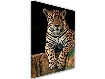 Obraz na plátne Leopard v pokoji
