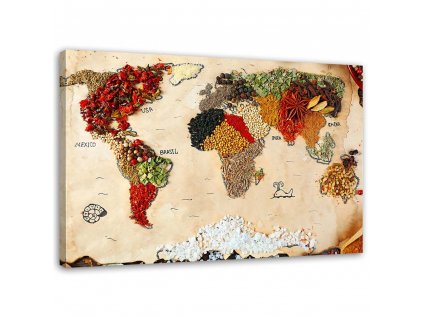 Obraz na plátne Mapa sveta s korením