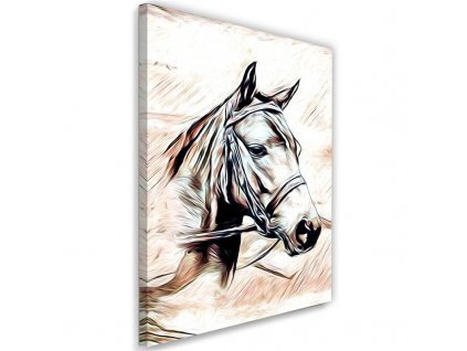 Obraz na plátne Maľovaný kôň
