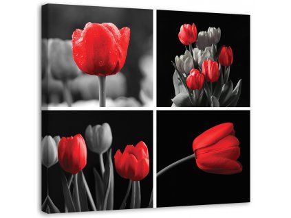 Obraz na plátne Sada červených tulipánov