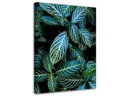 Obraz na plátne Listy tropických rastlín