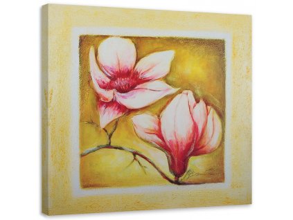 Obraz na plátne Dva čerešňové kvety