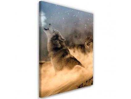 Obraz na plátne Dvaja vlci vyjú v noci na mesiac
