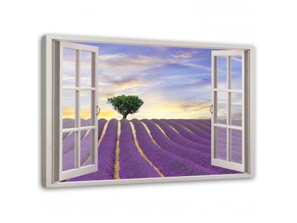 Obraz na plátne Okno - levanduľové pole