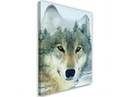 Obraz na plátne Vlk v lese na pozadí
