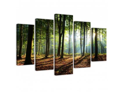 Obraz na plátne Slnečné lúče v lese - 5 dielny