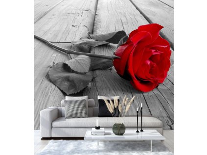 Fototapeta Červená ruža na starých doskách
