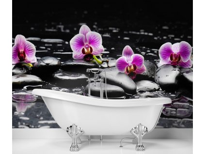 Fototapeta Zenové kamene a orchidey