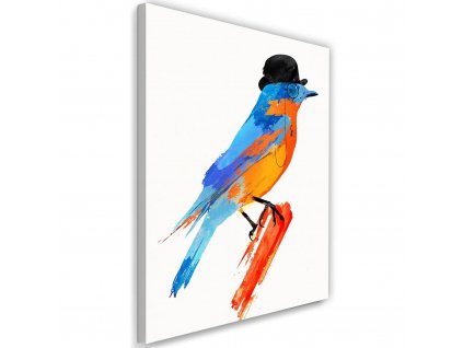 Obraz na plátne Farebný vták v klobúku - Robert Farkas