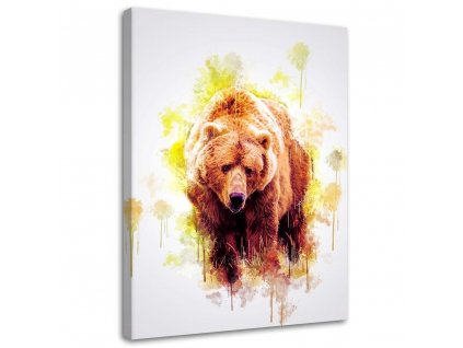 Obraz na plátne Medveď - Cornel Vlad