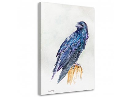 Obraz na plátne Bluebird - Dorota Martyńska