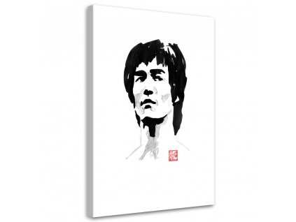 Obraz na plátne Bruce Lee - Péchane