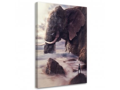 Obraz na plátne Slon v skale - Patryk Andrzejewski