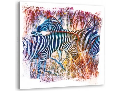 Obraz na plátne Stádo modrých zebier - Andrea Haase