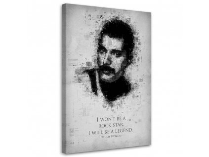 Obraz na plátne Freddie Mercury - Gab Fernando