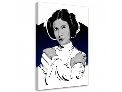 Obraz na plátne Star Wars, Leia Organa - Nikita Abakumov