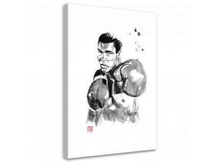 Obraz na plátne Muhammad Ali - Péchane