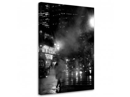 Obraz na plátne New York v hmle - Nikita Abakumov