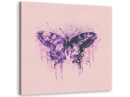 Obraz na plátne Fialový motýľ - Andrea Haase