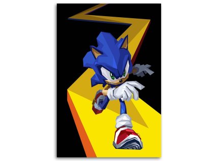 Obraz na plátne Sonic - Nikita Abakumov
