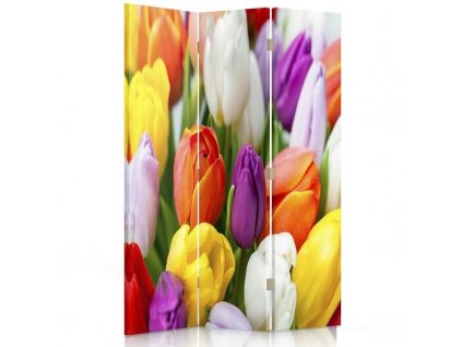 Paraván Farebné tulipány