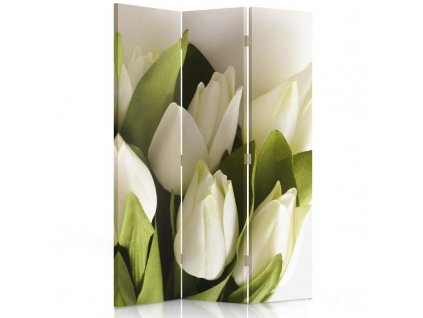 Paraván Čerstvé biele tulipány