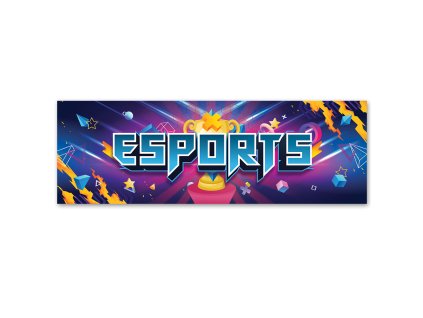 Obraz na plátne Esports