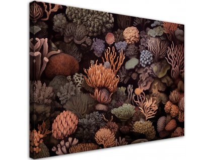 Obraz na plátne Krásne podmorské koraly