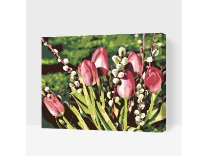 Maľovanie podľa čísel Tulipány