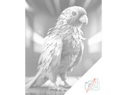 Bodkovanie Hrdý papagáj