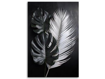 Obraz na plátne Monstera necháva čierne a biele (Rozmery 80 x 120 cm)
