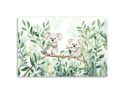 Obraz na plátne Medvedíky Koala Eucalyptus listy (Rozmery 60 x 40 cm)