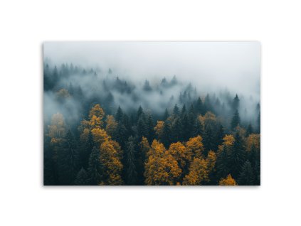 Obraz na plátne Les v hmlovej krajine (Rozmery 120 x 80 cm)