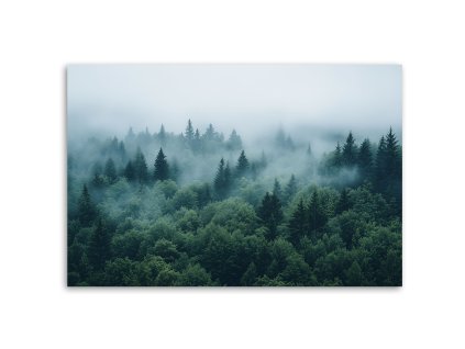 Obraz na plátne Zelený les v hmle prírodnej krajine (Rozmery 120 x 80 cm)