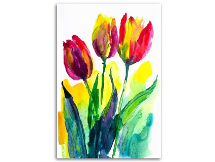 Obraz na plátne Tulipány akvarel farebná príroda jar (Rozmery 80 x 120 cm)