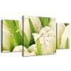 Obraz s hodinami Jemné tulipány - 3 dielny