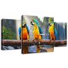 Obraz s hodinami Farebné papagáje - 3 dielny