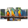 Obraz s hodinami Farebné papagáje - 3 dielny