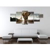 Obraz s hodinami Osamelý silný slon - 5 dielny