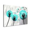 Obraz na plátne Krásne tyrkysové púpavy
