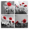 Obraz na plátne Červené maky