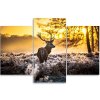 Obraz na plátne Jeleň ráno - 3 dielny