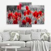 Obraz na plátne Červené maky na čiernobielej lúke - 3 dielny