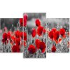 Obraz na plátne Červené maky na čiernobielej lúke - 3 dielny