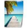 Fototapeta Most v tropickom oceáne