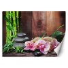 Fototapeta Orchidea s bambusom