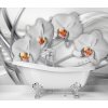 Fototapeta Abstraktné orchidey